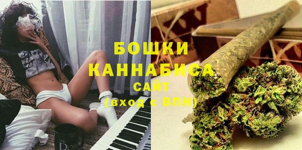 индика Гусь-Хрустальный