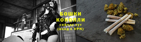 индика Гусь-Хрустальный