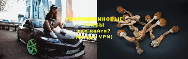 гидропоника Гусев