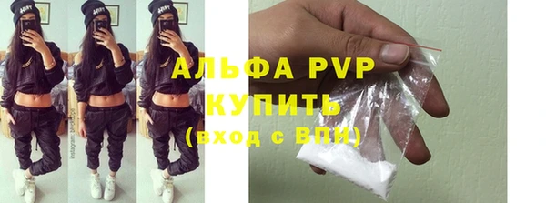 индика Гусь-Хрустальный