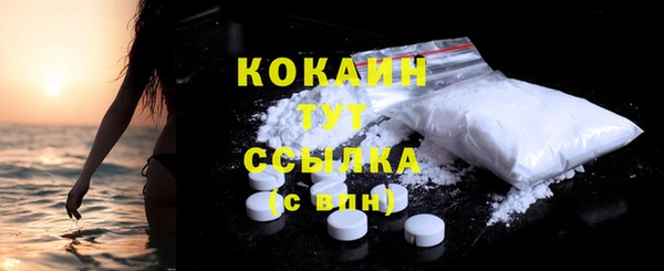 индика Гусь-Хрустальный
