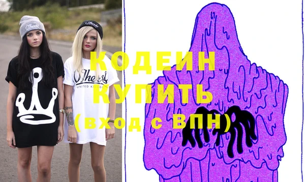 индика Гусь-Хрустальный