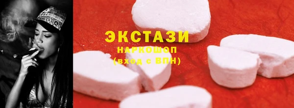 индика Гусь-Хрустальный