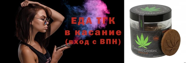 индика Гусь-Хрустальный