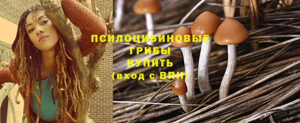 индика Гусь-Хрустальный