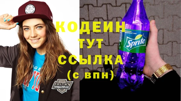 индика Гусь-Хрустальный
