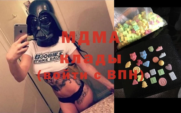 индика Гусь-Хрустальный
