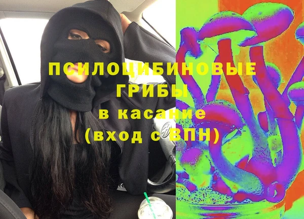 гидропоника Гусев