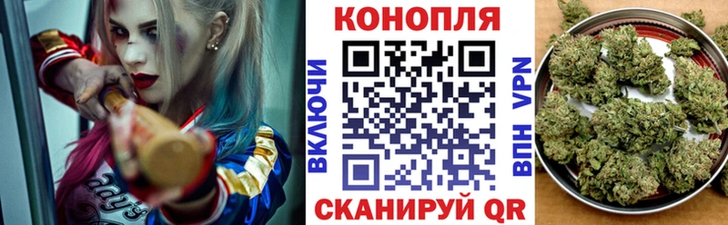 МАРИХУАНА семена Купить где Новосокольники
